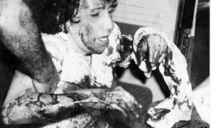 Emilia herida