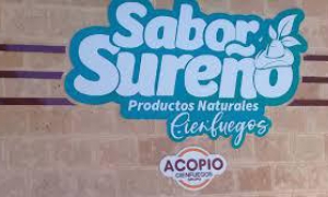empresa de acopio