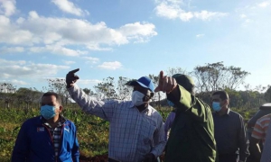valdes mesa en matanzas