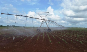 Agricultura en Ciego de Ávila