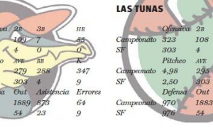 pelota