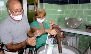 Inseminación artificial 