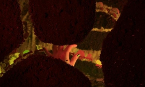 Videoclip sobre Pelusín del Monte, títere nacional de Cuba