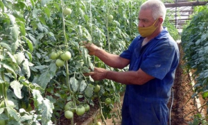 agroecologia