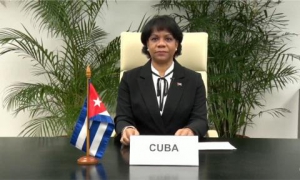 Viceprimera ministra de la República de Cuba en Reunión de Alto Nivel Sobre la A