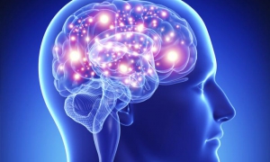 Cerebro