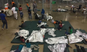 migrantes