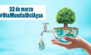 Día Mundial del Agua.