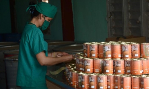 Minidustria La Candelaria, asociada a la empresa Agroindustrial Ceballos, en Cie