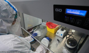 laboratorios