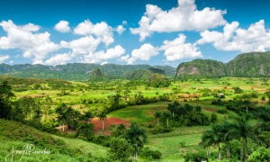 Viñales 