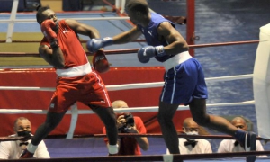 Boxeo