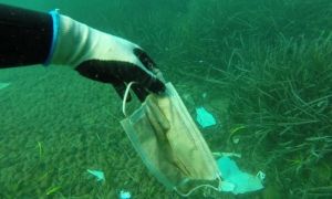 Medio ambiente