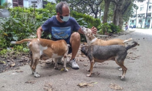 Encuentro con protectores de animales