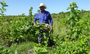 Varios campesinos de la zona de managuaco