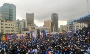 Movimiento Al Socialismo (MAS)