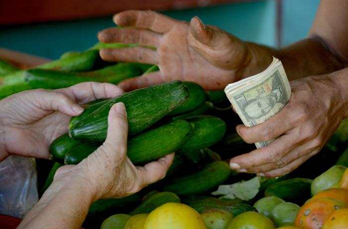 Recorrido por agros y plazas de la capital, precios, suministros y calidad de los productos.