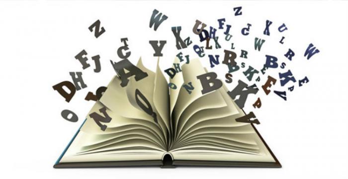 idioma español diccionario letras
