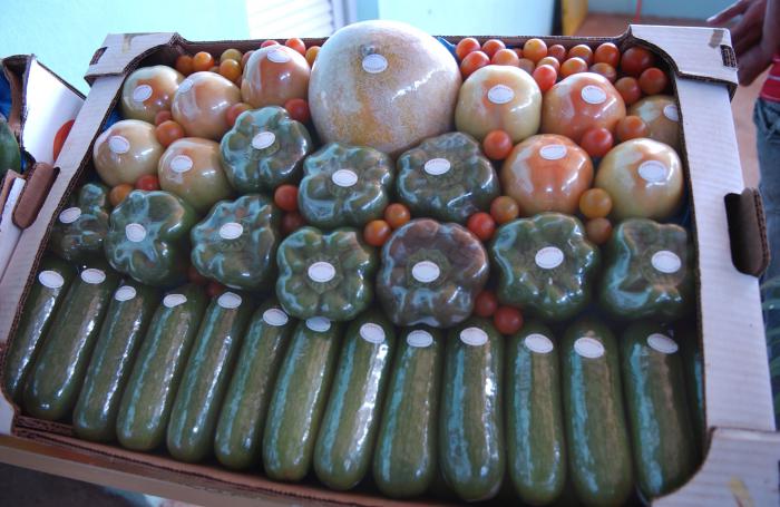 Productos del agro, exportables, cosechados en casas de cultivos en Ciego de Avila.  Tomate, pepino, aji pimiento