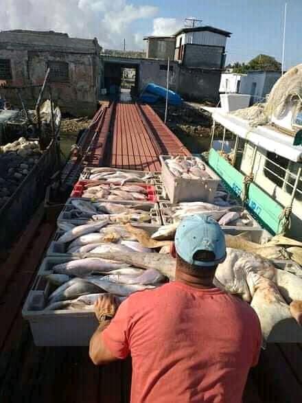 Con su incorporación a la Cámara de Comercio de la República de Cuba, Pescatún dio un paso crucial en pro de posicionarse en el mercado internacional