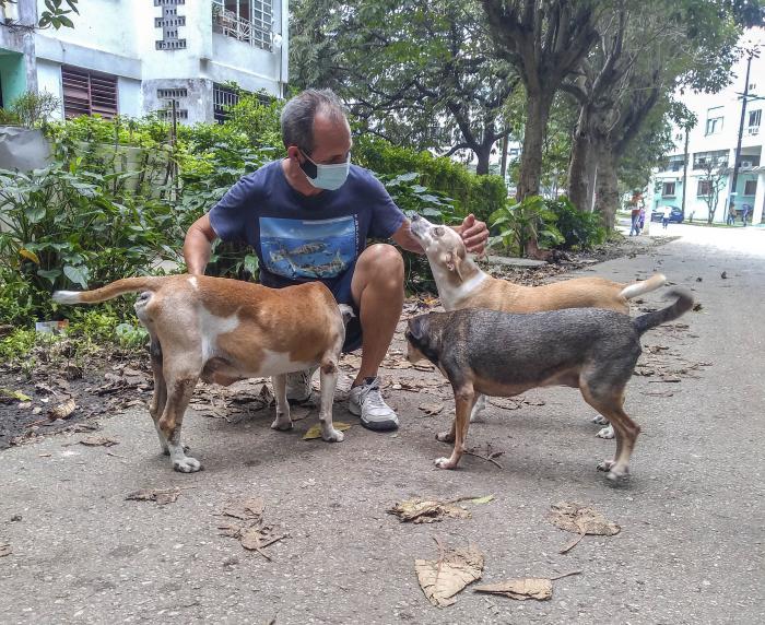 Encuentro en el Ministerio de la Agricultura (MINAG)con protectores de animales.
