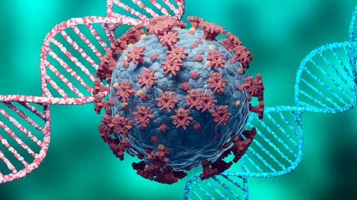 Covid-19, nuevas cepas del virus SARS-CoV-2, causante de esta enfermedad, ponen en alerta al mundo
