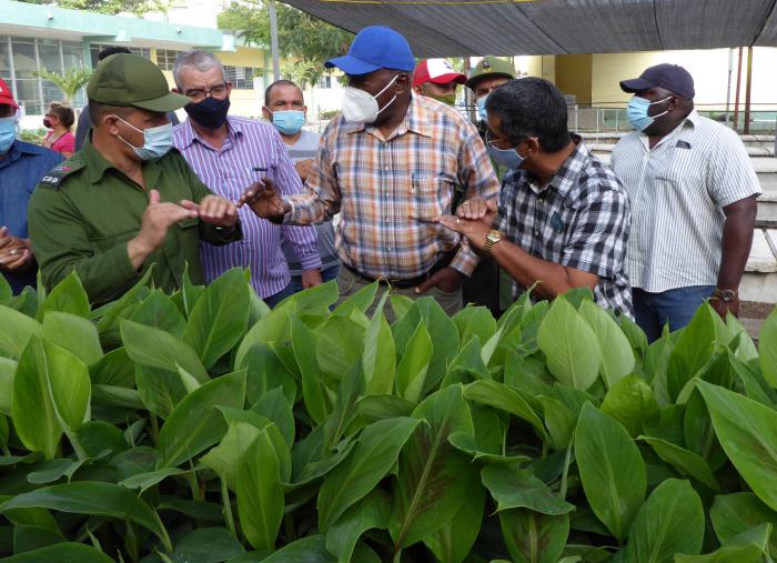 En la biofábrica de Holguín, Salvador Valdés Mesa ratificó la necesidad de apoyarse en la ciencia y la técnica para acelerar la producción de alimentos. FOTO DEL AUTOR