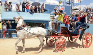 alazananes de Granma