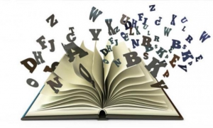 idioma español diccionario letras