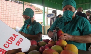 Polos productivos con capacidad para exportar