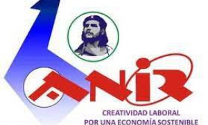 Innovadores y Racionalizadores (anir)