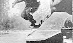 Fidel en Girón