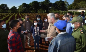 Impulsa el Gobierno cambios para favorecer la producción agrícola