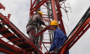 Aprueban tres Decretos-Leyes sobre las telecomunicaciones, las empresas y la seguridad social