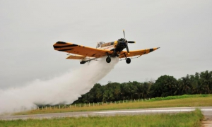 aviación 