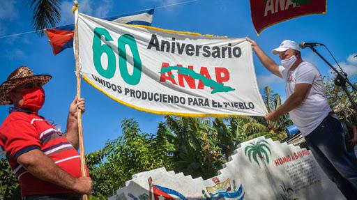 aniversario 60 de la anap bandera