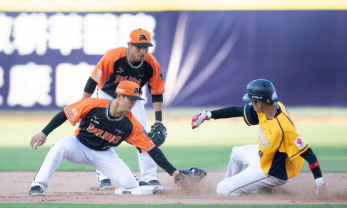 TAICHUNG, TAIWAN - APRIL 12: Infielder Wei Chen Wang (R) #9 of CTBC Brothers is tagged out during the CPBL game between CTBC Brothers and Uni-President Lions at Taichung Intercontinental Baseball Stadium on April 12, 2020 in Taichung, Taiwan. 31th CPBL regular season start at April,11, 2020,and due to COVID-19,only staffs and press member can attend the game,and must wear facemask all the time. (Photo by Gene Wang/Getty Images)