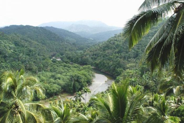 Parque Nacional Alejandro de Humboldt.