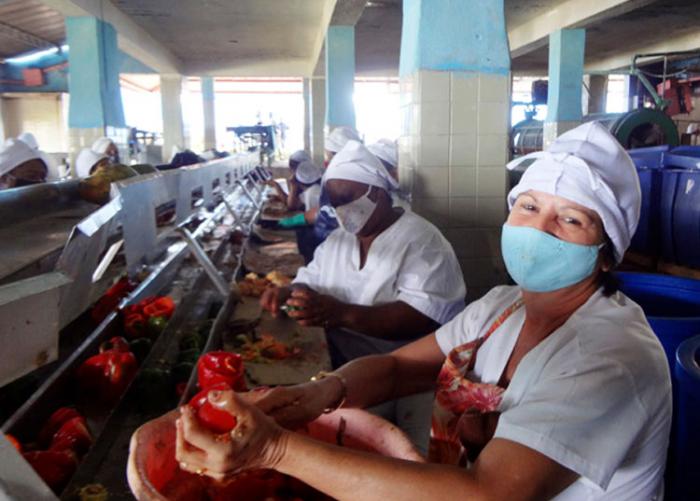 Son 42 las empresas para brindar servicios de exportación e importación en Cuba