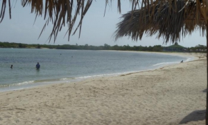 La preservación de las playas arenosas cuenta entre las prioridades de la Tarea Vida en el balcón del oriente

