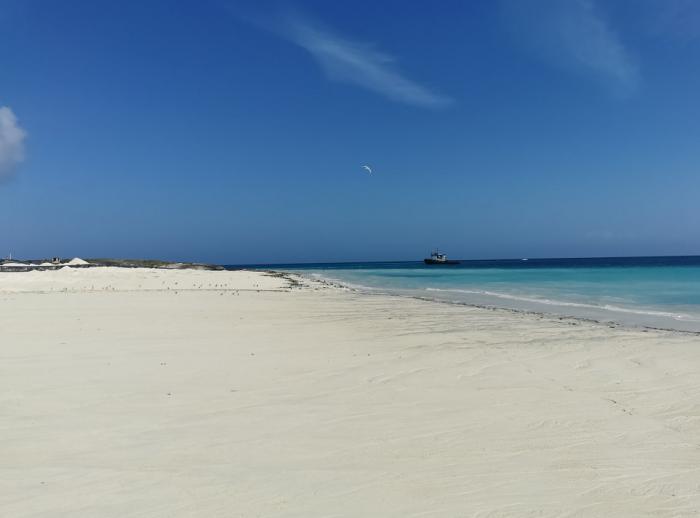 Sector Oeste de playa Norte, beneficiado con el vertimiento de arena. Falta conformar y revegetar la duna