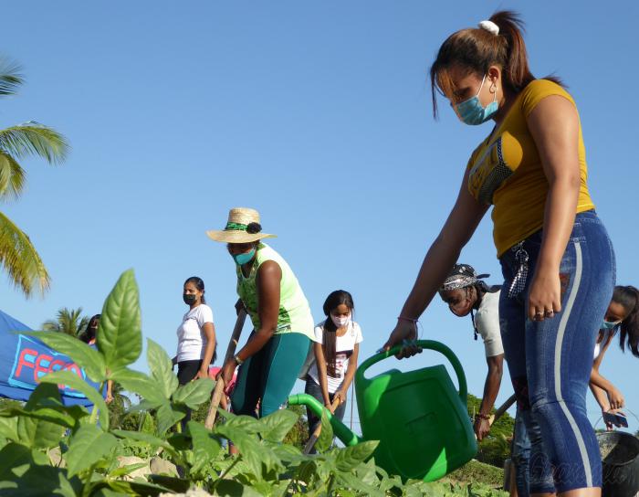 Para el país es decisivo el impulso a los programas vinculados a lograr la soberanía alimentaria. 