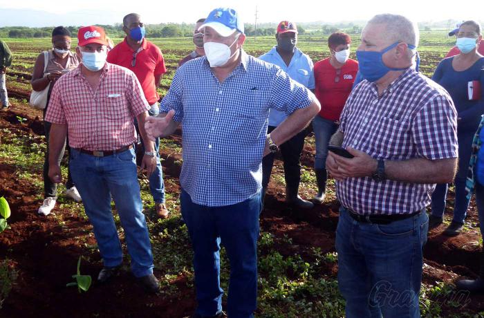 tapia fonseca en pinar del rio