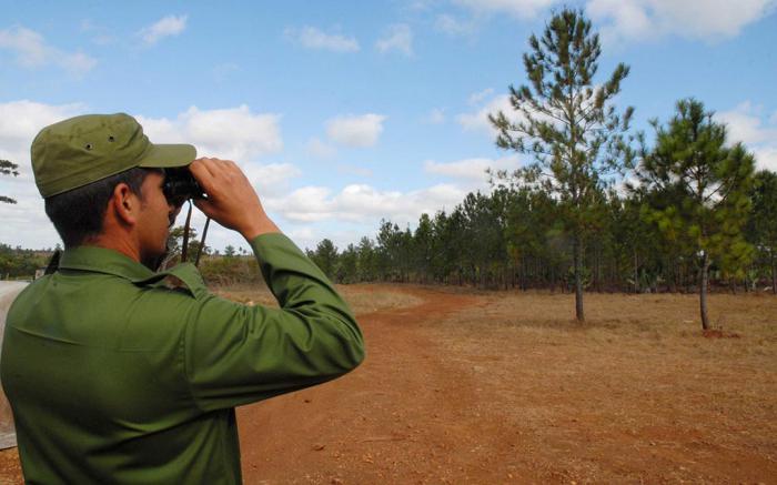 La vigilancia y protección del patrimonio forestal en la Meseta de San Felipe, es tarea permanente de los guardabosques, en el período crítico por la ocurrencia frecuente de incendios, en Camagüey, Cuba, el 8 de febrero de 2015.    AIN  FOTO/ Rodolfo BLANCO CUÉ/ rrcc