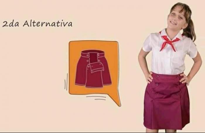 Los propios pioneros debían decidir si les parecía bien el cambio y dar sus criterios sobre las variantes