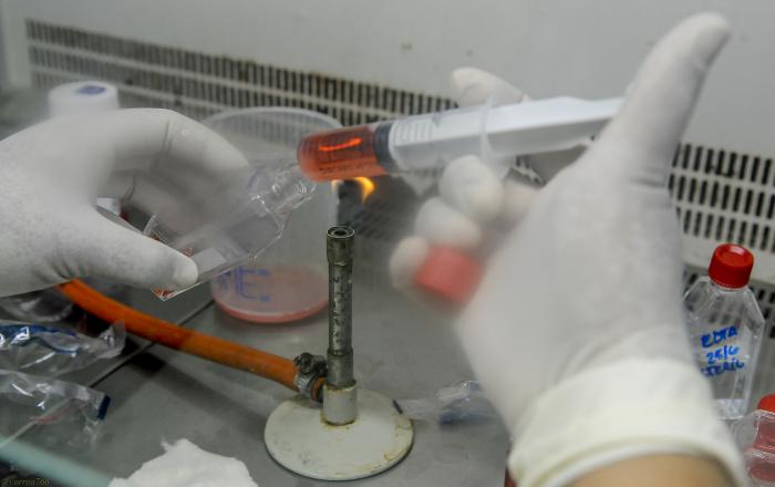 Centro Nacional de Genética Medica, Laboratorio de inmunología