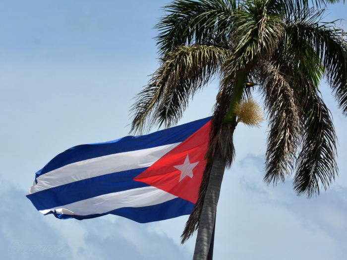 Bandera Cubana Y Palma Real Símbolos de Cubania.