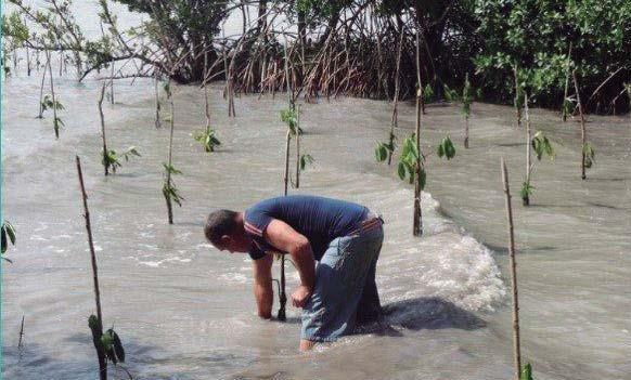 El restablecimiento del ecosistema está entre las prioridades de la Tarea Vida en Cuba. 