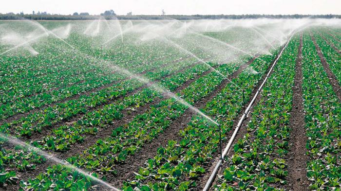 contratación de agua a los productores del sector agropecuario