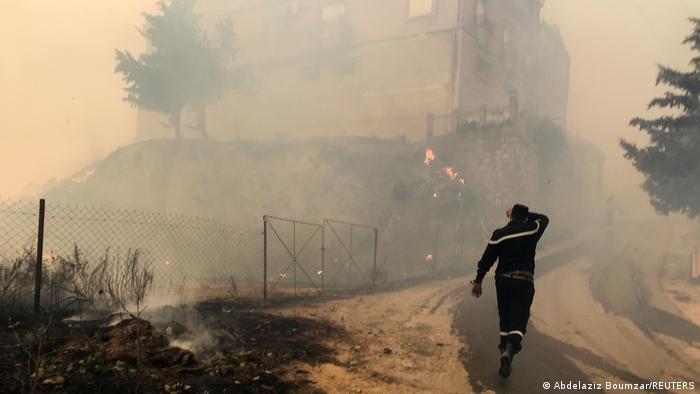 Incendios Forestales en Argelia
